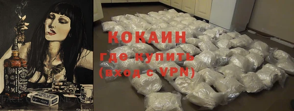 шишки Арсеньев