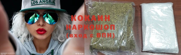 шишки Арсеньев