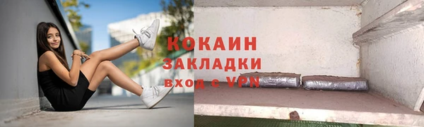 шишки Арсеньев