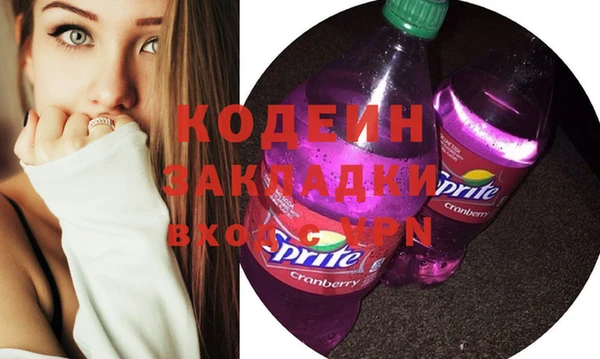 шишки Арсеньев