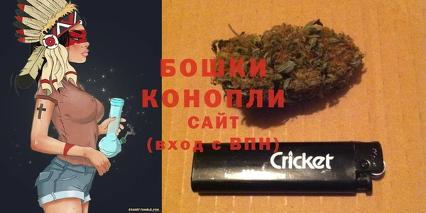 шишки Арсеньев