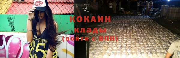 шишки Арсеньев