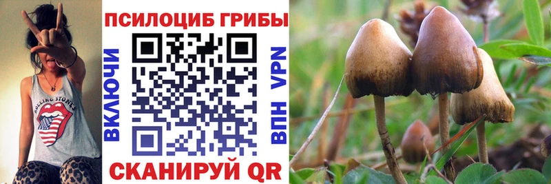 darknet клад  Тарко-Сале  Псилоцибиновые грибы ЛСД  магазин  наркотиков 